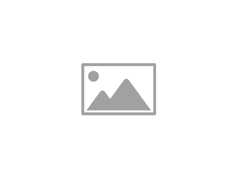 بیانیه جنگل سوزی