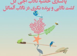 پاکسازی تالاب آجی گل