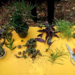 شهریور ماه ۹۸