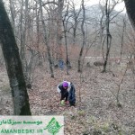 پاکسازی پارک ملی گلستان